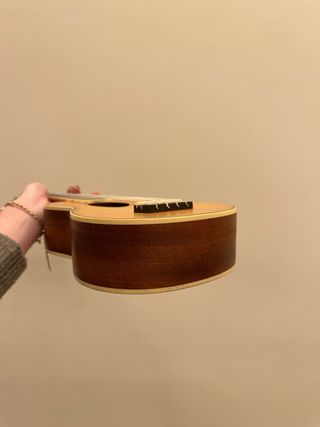 Ukelele Rochester con funda