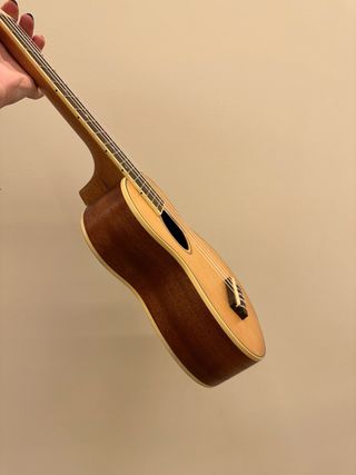 Ukelele Rochester con funda