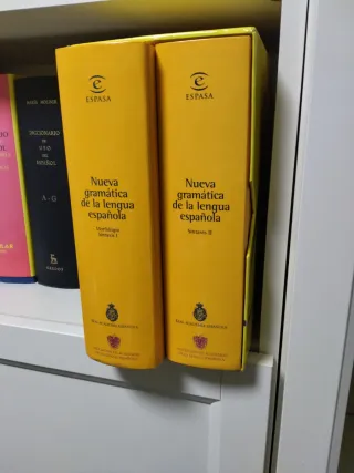 Nueva Gramatica de la Lengua Española (Spanish ...