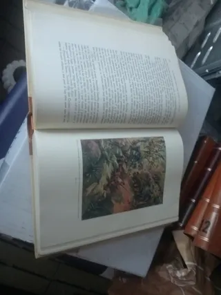 Libro Don Quijote de la mancha
