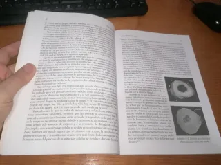 Libro: DOLOR DE ESPALDA Dr Yang, Jwing-Ming