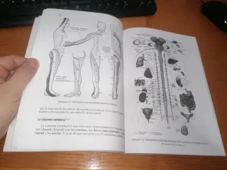 Libro: DOLOR DE ESPALDA Dr Yang, Jwing-Ming