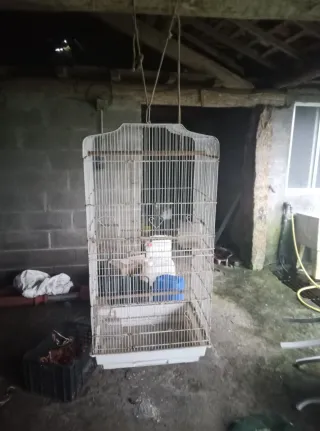 Jaula para pájaros blanca