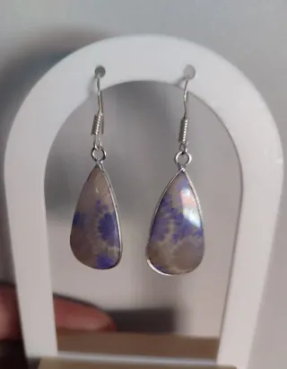 Pendientes Fósil Coral Plata