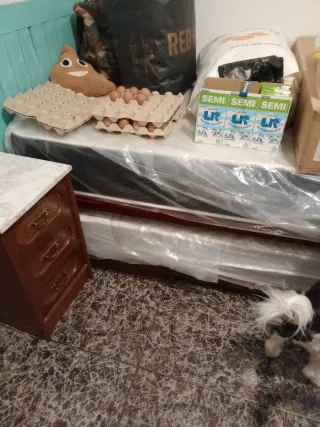 Cama nido recoger en parque tío jorge