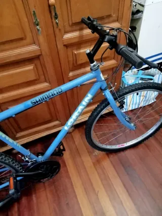 Bicicleta MTB 26 Shimano Lorain Años 90
