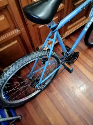 Bicicleta MTB 26 Shimano Lorain Años 90