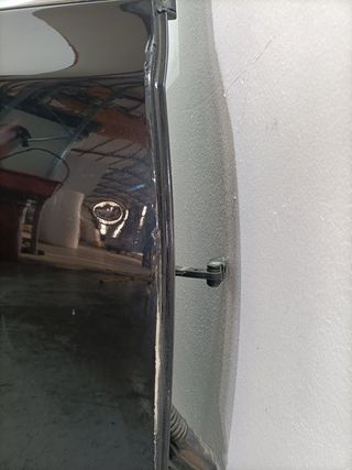 PUERTA TRASERA DERECHA BMW SERIE 5 BERLINA (E60) (2)