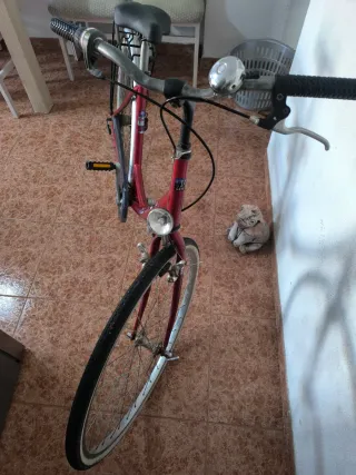 Bicicleta de paseo roja