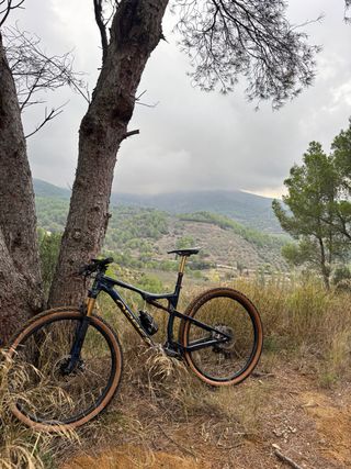 Bicicleta MTB Orbea