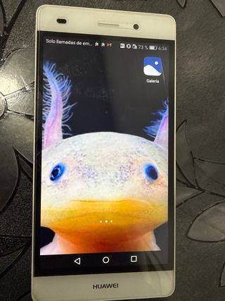 Huawei P8 lite Blanco - Caja y Accesorios