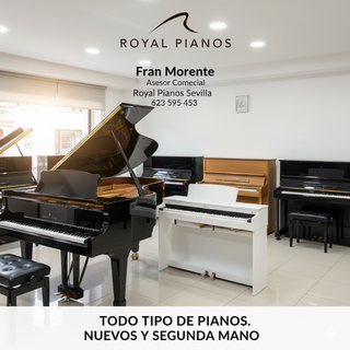 Asesor Comercial Royal Pianos