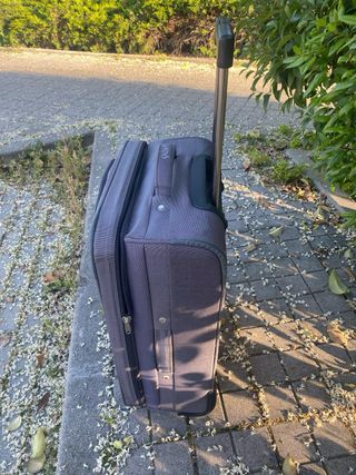 Maleta de viaje Troli