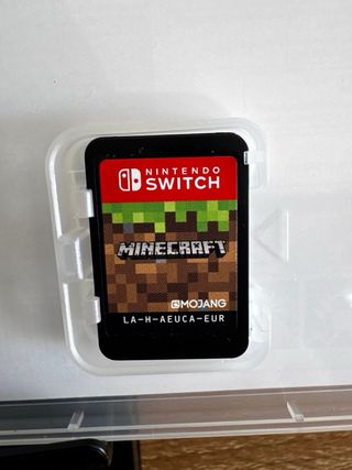 Minecraft Nintendo Switch