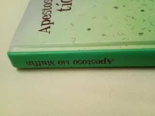 Apestoso tío Muffin (Spanish Edition)