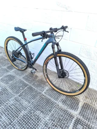 Bicicleta Vitoria Sioux 29 Carbono
