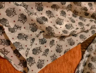 Blusa blanca con estampado de búhos