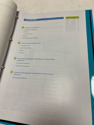 Curso de quiromasaje