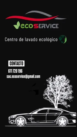 Limpieza de Vehiculos Lavado de Vehiculos