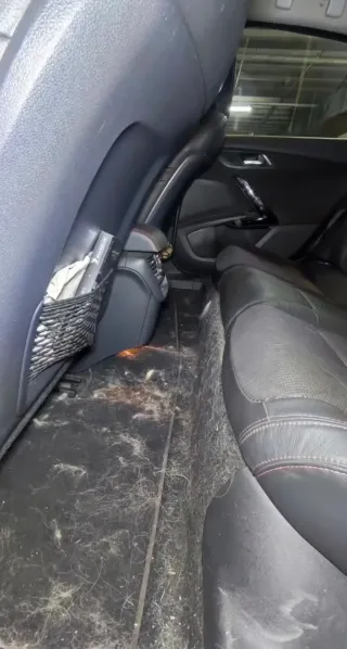 Limpieza de Vehiculos Lavado de Vehiculos