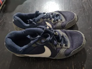 Zapatillas Nike Azul y Gris