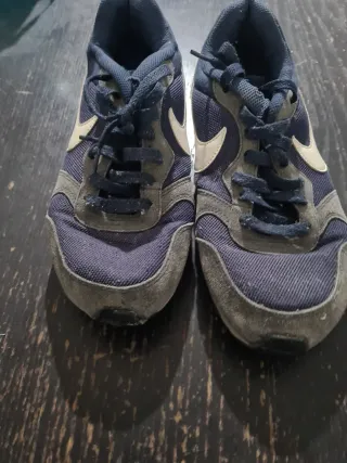 Zapatillas Nike Azul y Gris