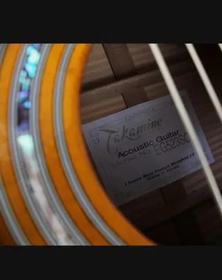 Guitarra Acústica Takamine