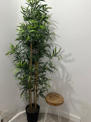 Planta de bambú artificial decorativa