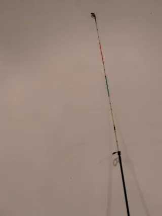 Caña de pescar BASSIS 300 + Carrete