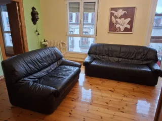 Sofás de piel negros