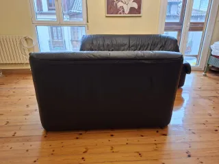 Sofás de piel negros
