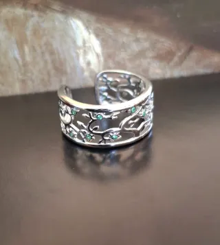 Anillo Plata de Ley. Envíos gratis a partir de 40€