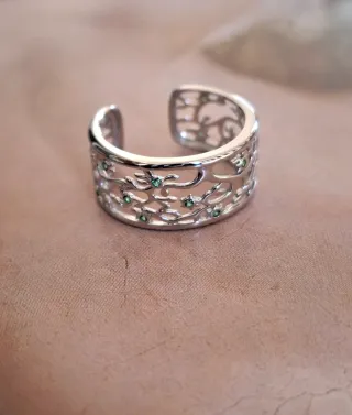 Anillo Plata de Ley. Envíos gratis a partir de 40€