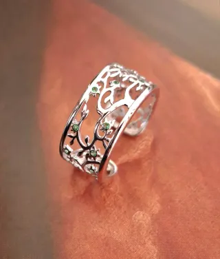 Anillo Plata de Ley. Envíos gratis a partir de 40€