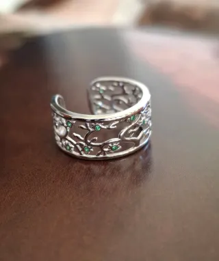 Anillo Plata de Ley. Envíos gratis a partir de 40€