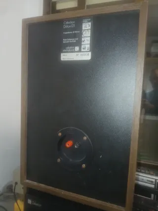Celestion Ditton 121 Altavoces