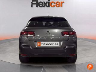 Citroën C4 Cactus PureTech 110 S&S Feel