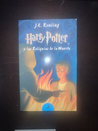 Harry Potter y la piedra filosofal (Harry Potte...