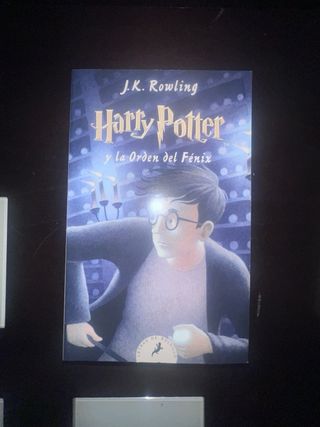 Harry Potter y la piedra filosofal (Harry Potte...