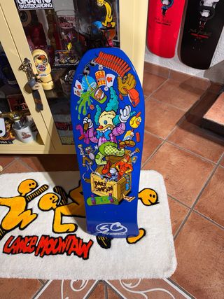 Santa cruz skateboards