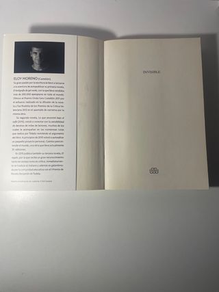 Invisible / Invisible (Spanish Edition)