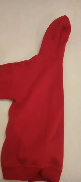 Sudadera Chicago Bulls Roja con Capucha