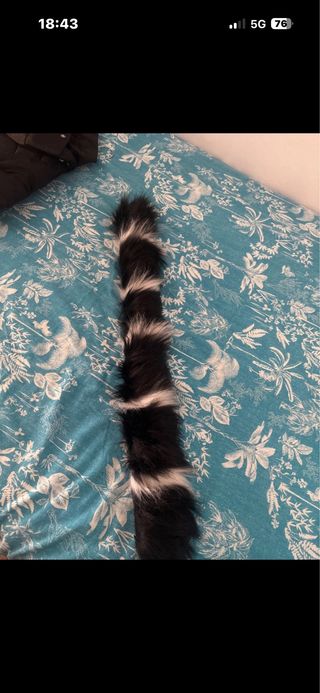 Plumífero negro chica largo