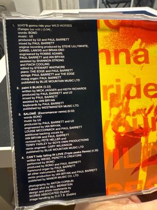 U2 - Who's Gonna Ride Your Wild Horses CD