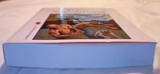 DEL CREADOR CONAN EL BARBARO, STEVE COSTIGAN