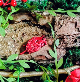 Pendientes,Collar y llavero de corazon de granada