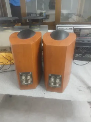 Altavoces KEF Marrones y Negros
