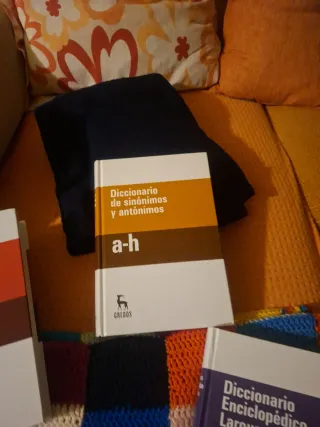 Diccionario Larousse
