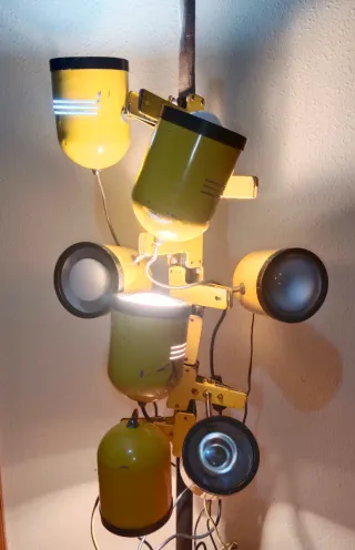 7 Flexos Pinza Vintage Amarillo XL