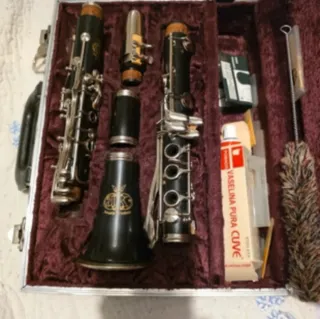 Clarinete Amari Profesional Completo